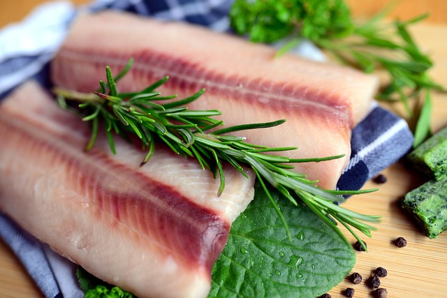 魚の血合いは体に悪い？栄養・効果と食べていい頻度も調査！